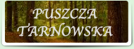 Turystyczna przyszłość Puszczy Tarnawskiej